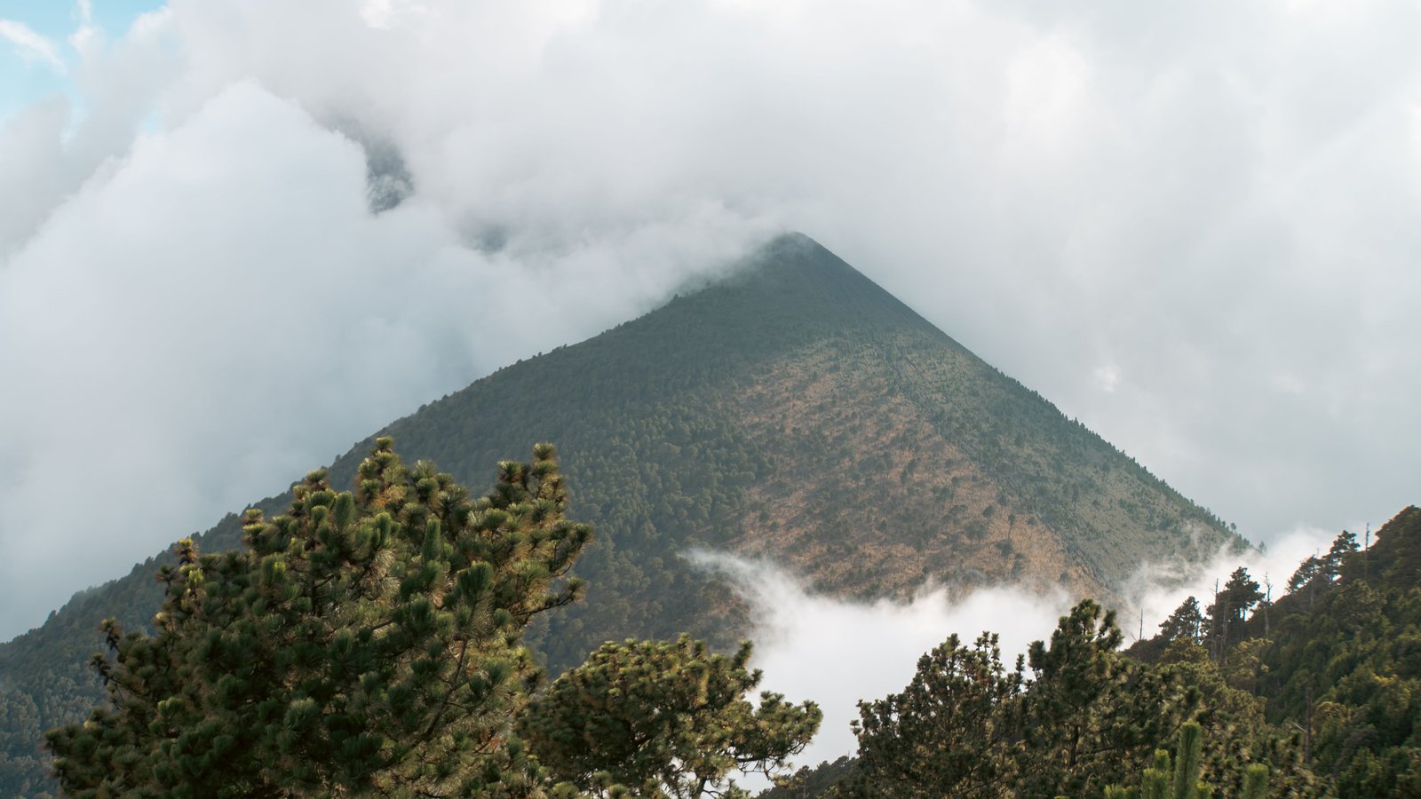 Acatenango volcano rising above the pine forest with clouds swirling around the summit on the trail approach