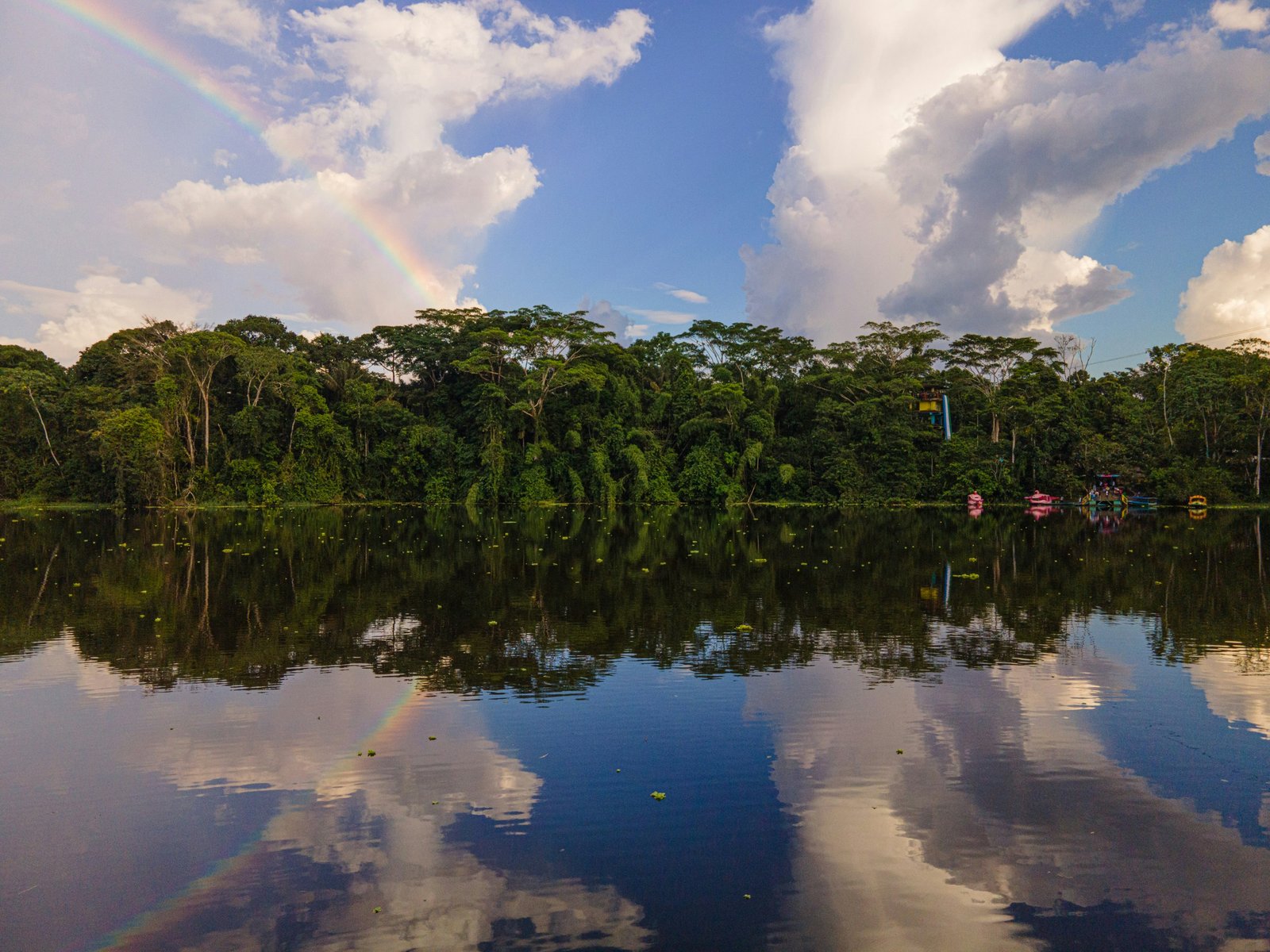 Flooded forest reflected in still water. Amazon high season, igap&oacute; submerged.