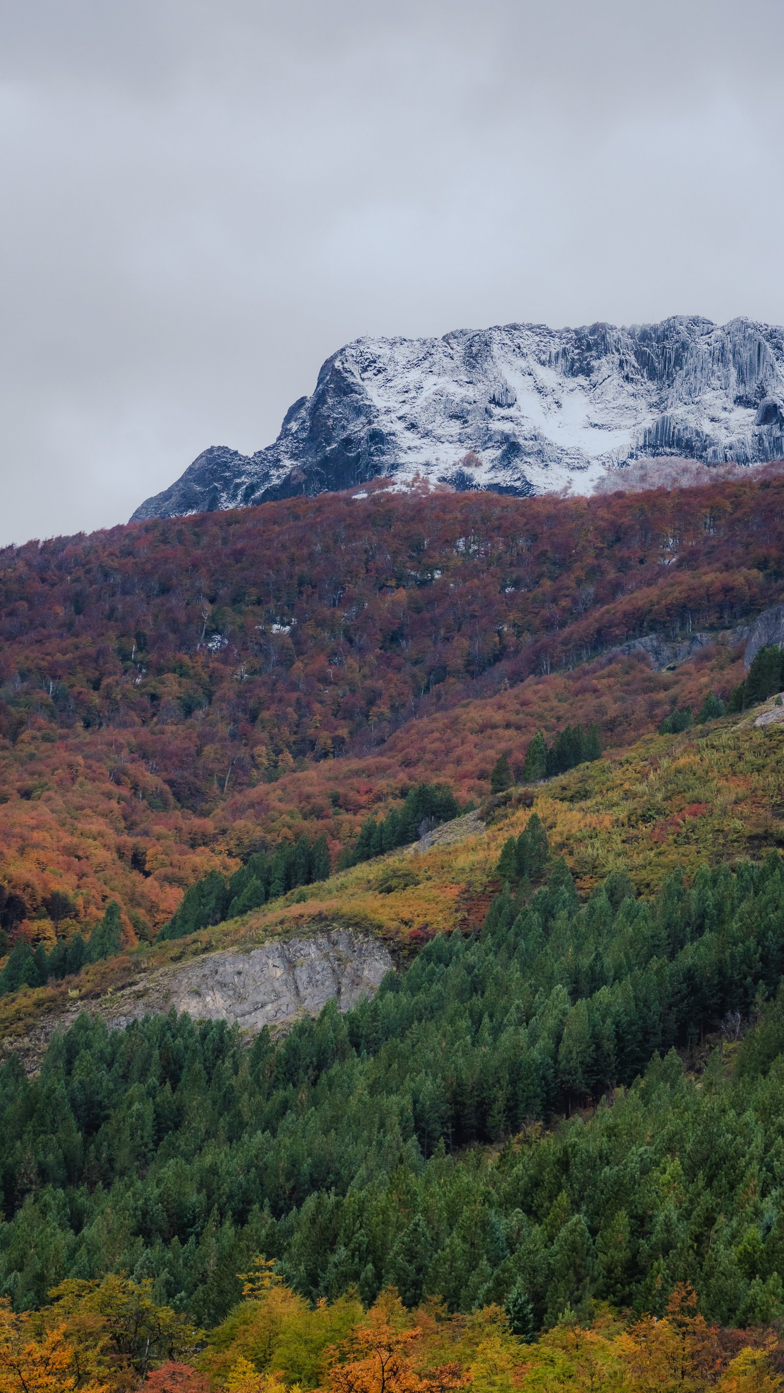 Overcast. The peak above the treeline. The winter was coming in fast.
