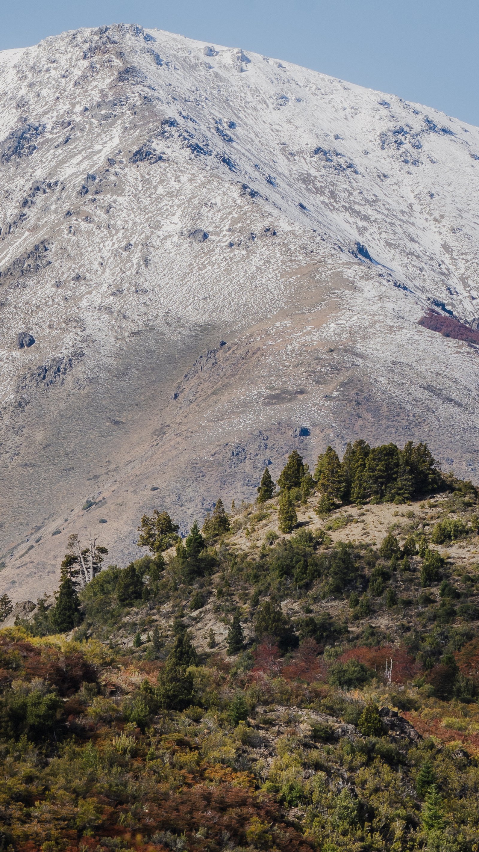 First snow on the summit. Conifer forest holding green below the snowline.