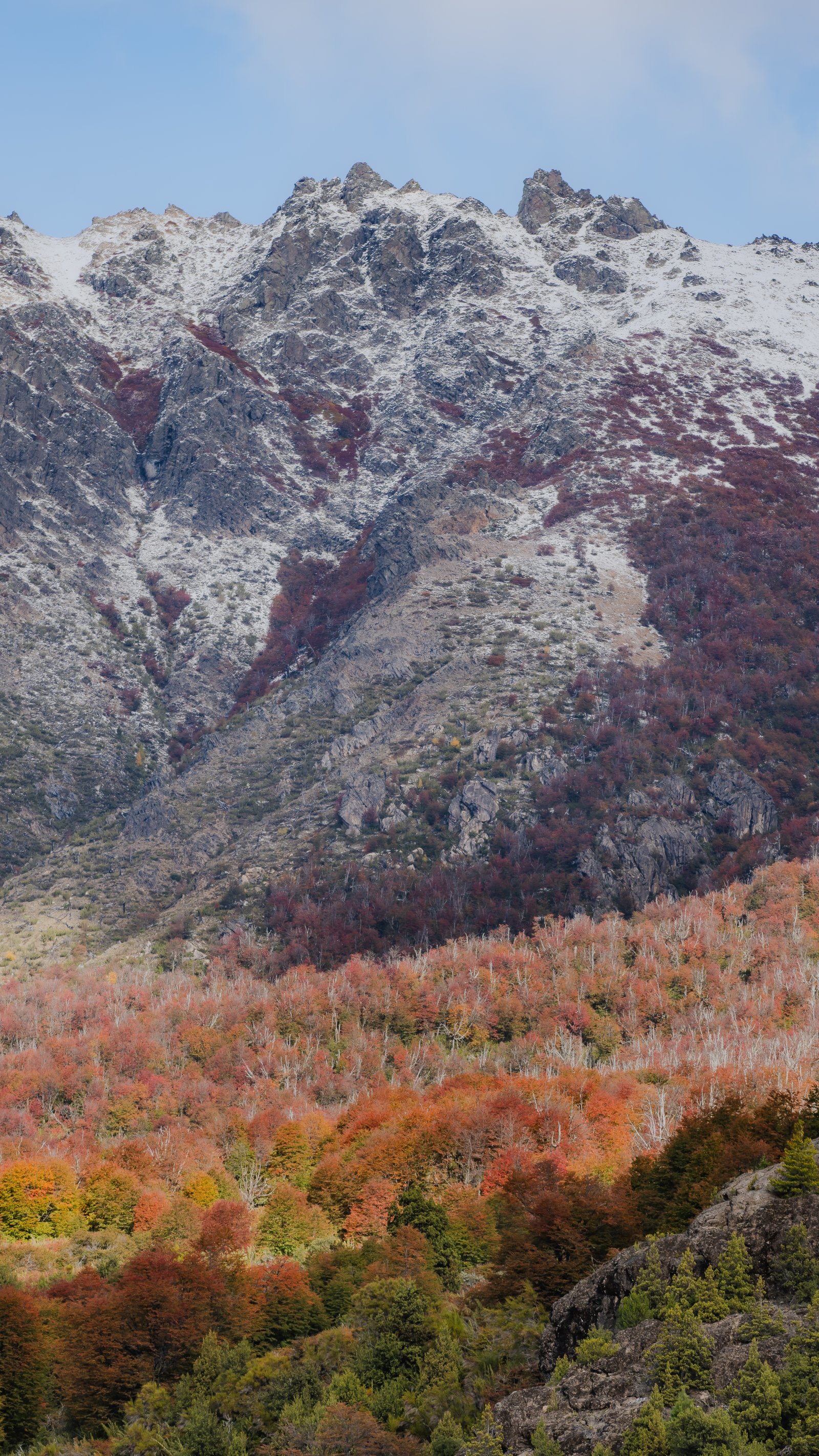 Into the Mountains — Bariloche