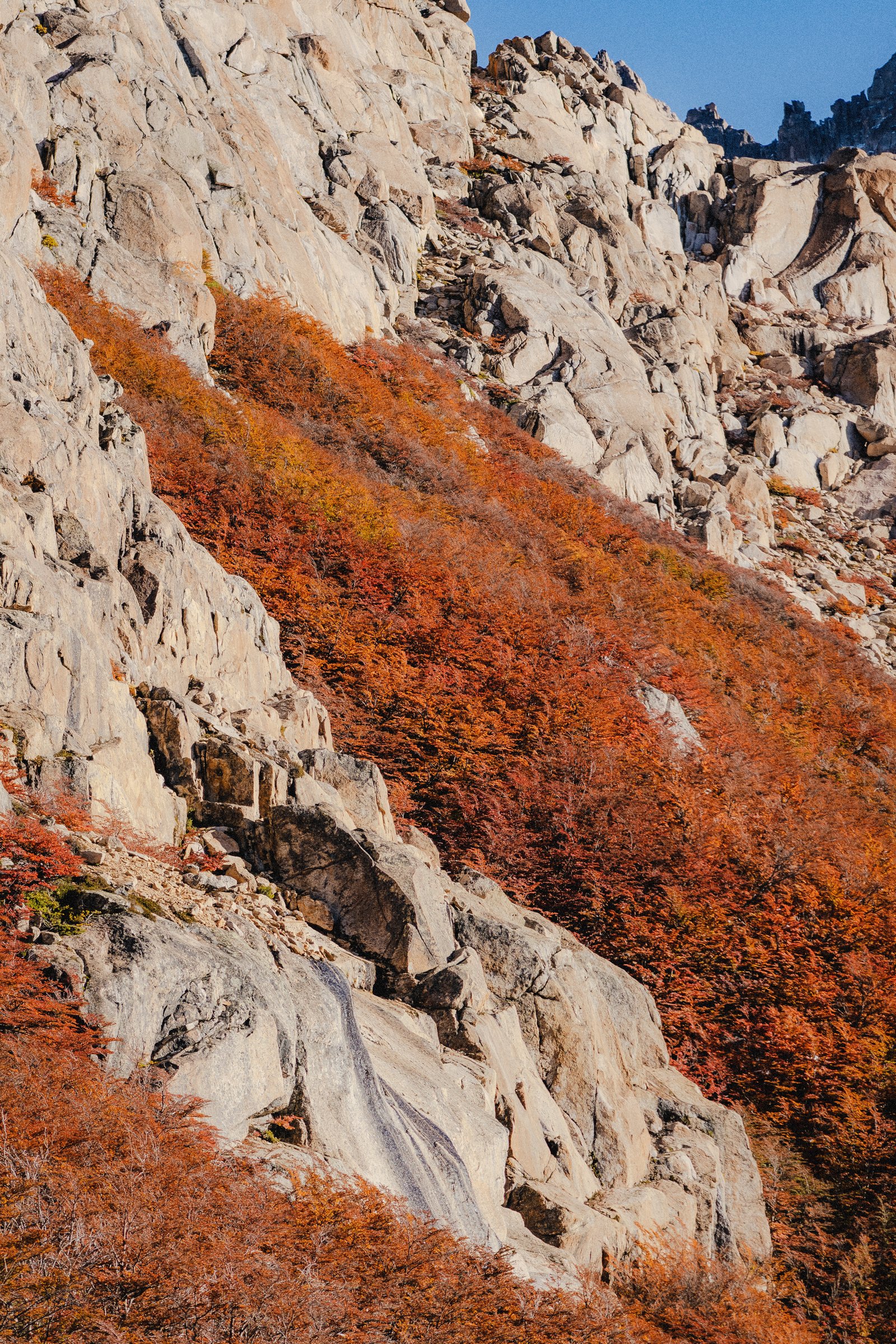 Meltwater on the granite. The lenga below it in full orange.