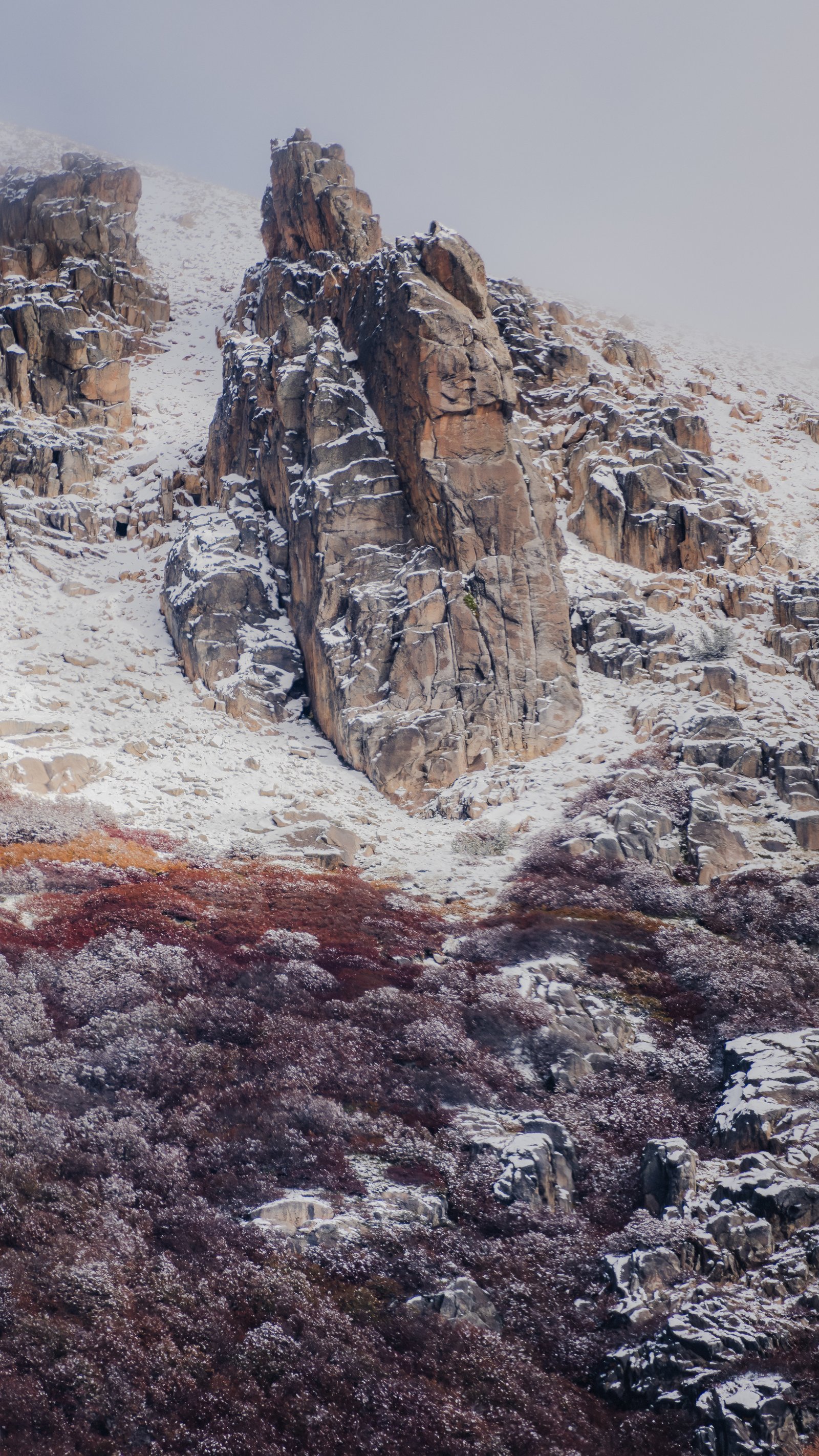 Overcast granite pinnacle. Red-purple autumn scrub dusted with snow at the base.