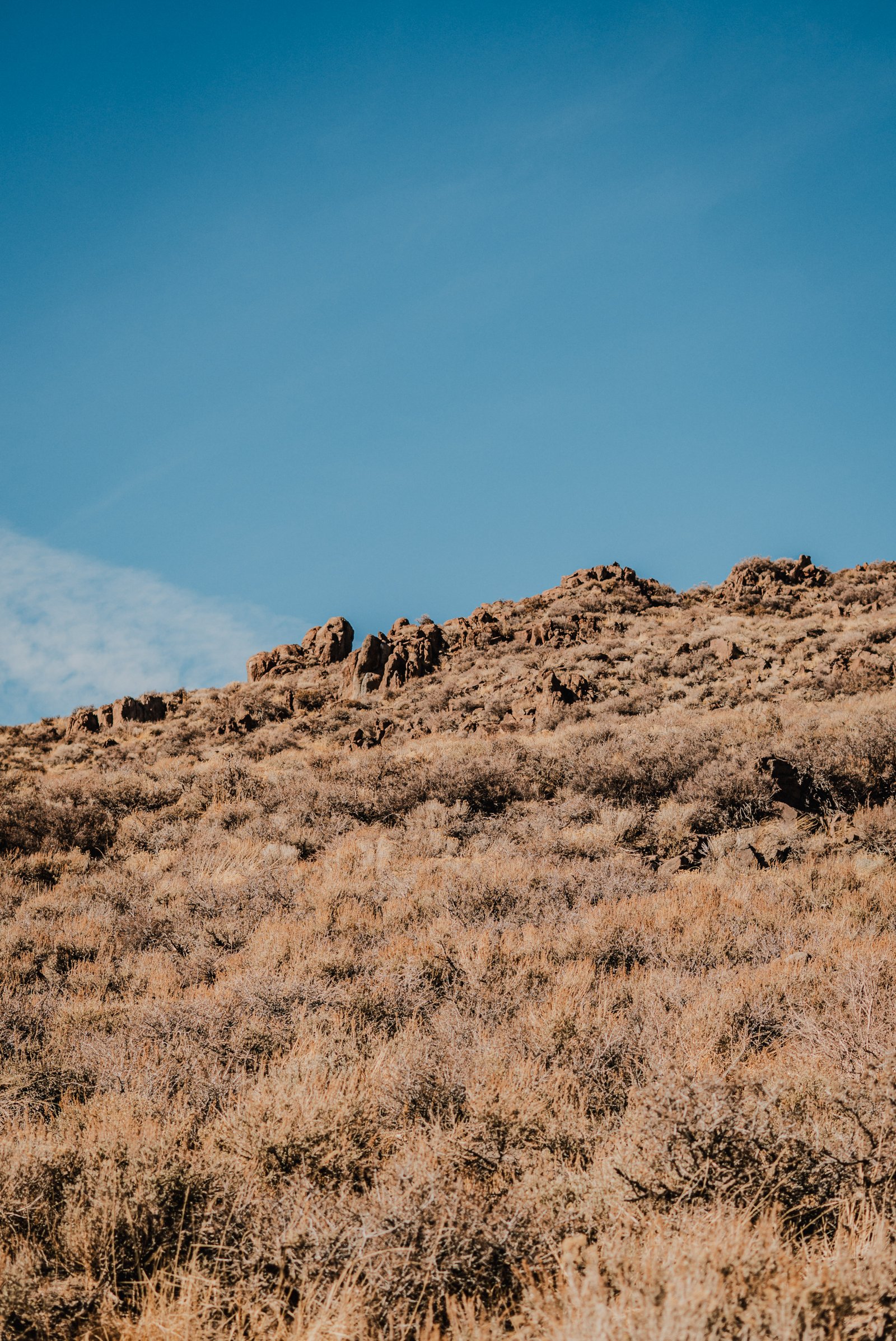 The Road In — Bodie