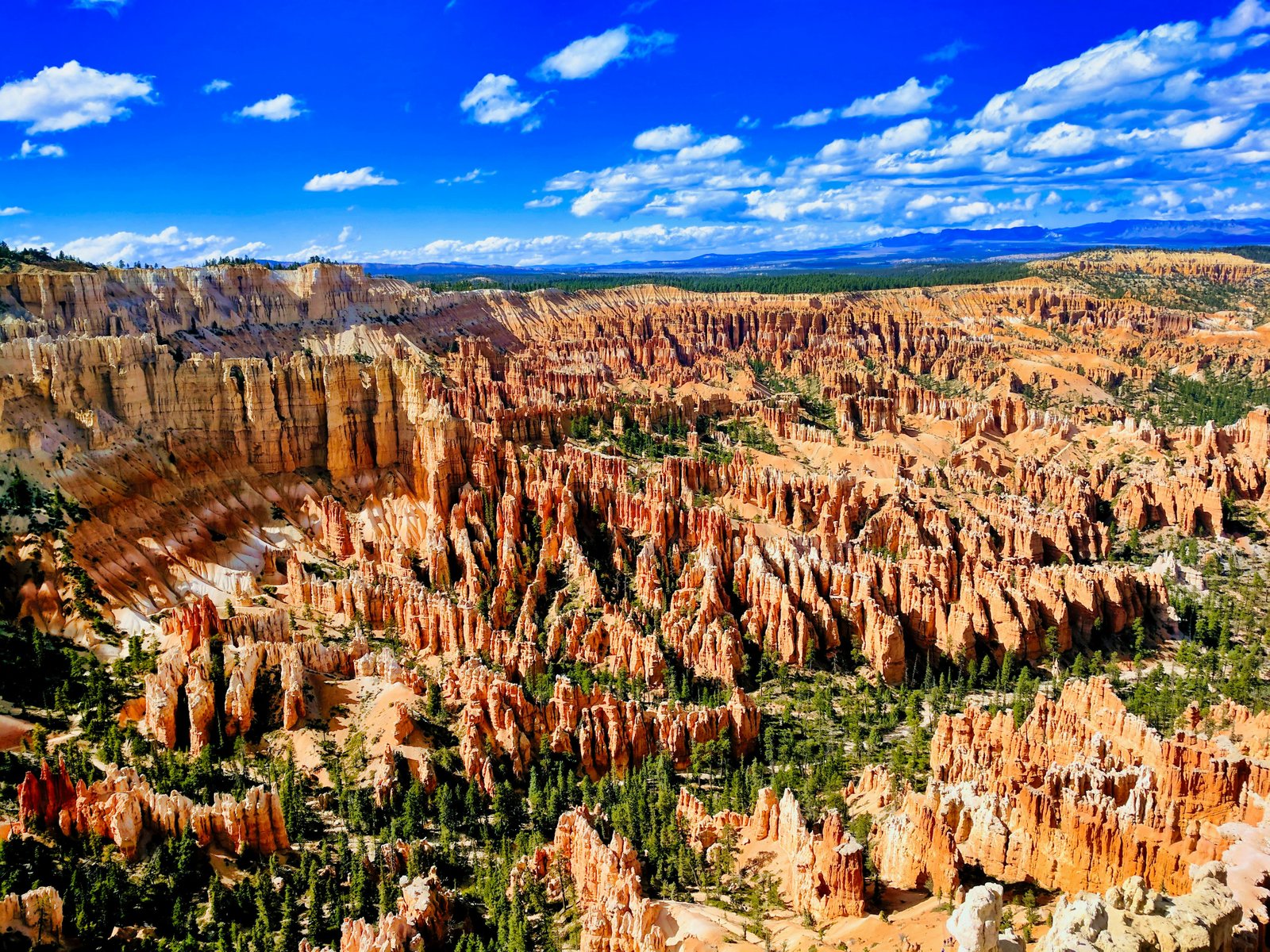 Bryce Canyon amphitheatre blanketed in snow, orange hoodoos emerging from white drifts