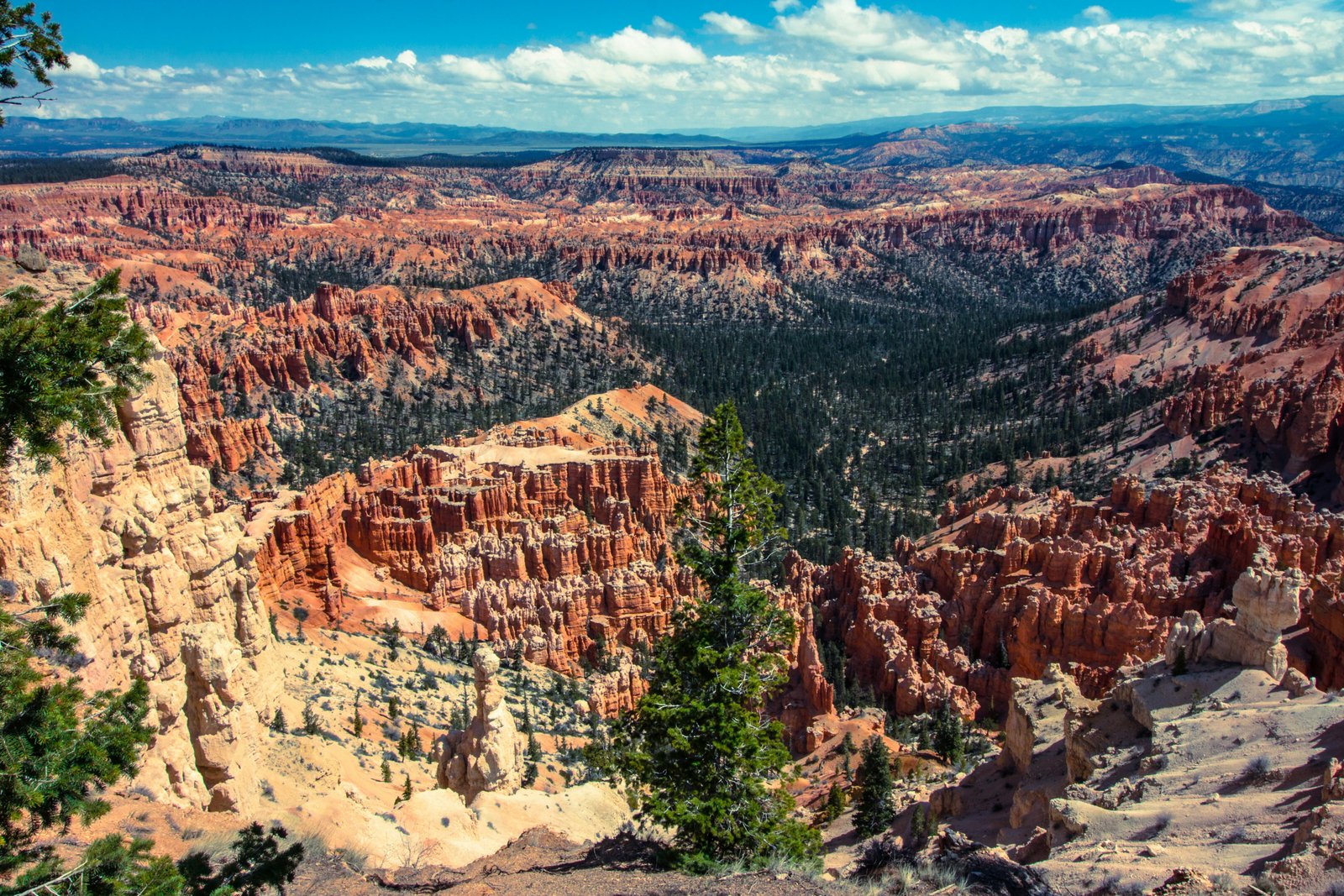 Natural Bridge arch at Bryce Canyon, dramatic orange sandstone framing forest below