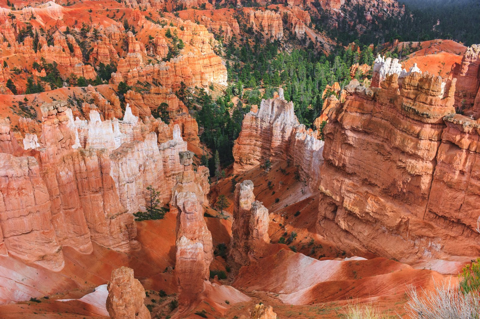 Panoramic view of thousands of hoodoos stretching across the Bryce Canyon amphitheatre
