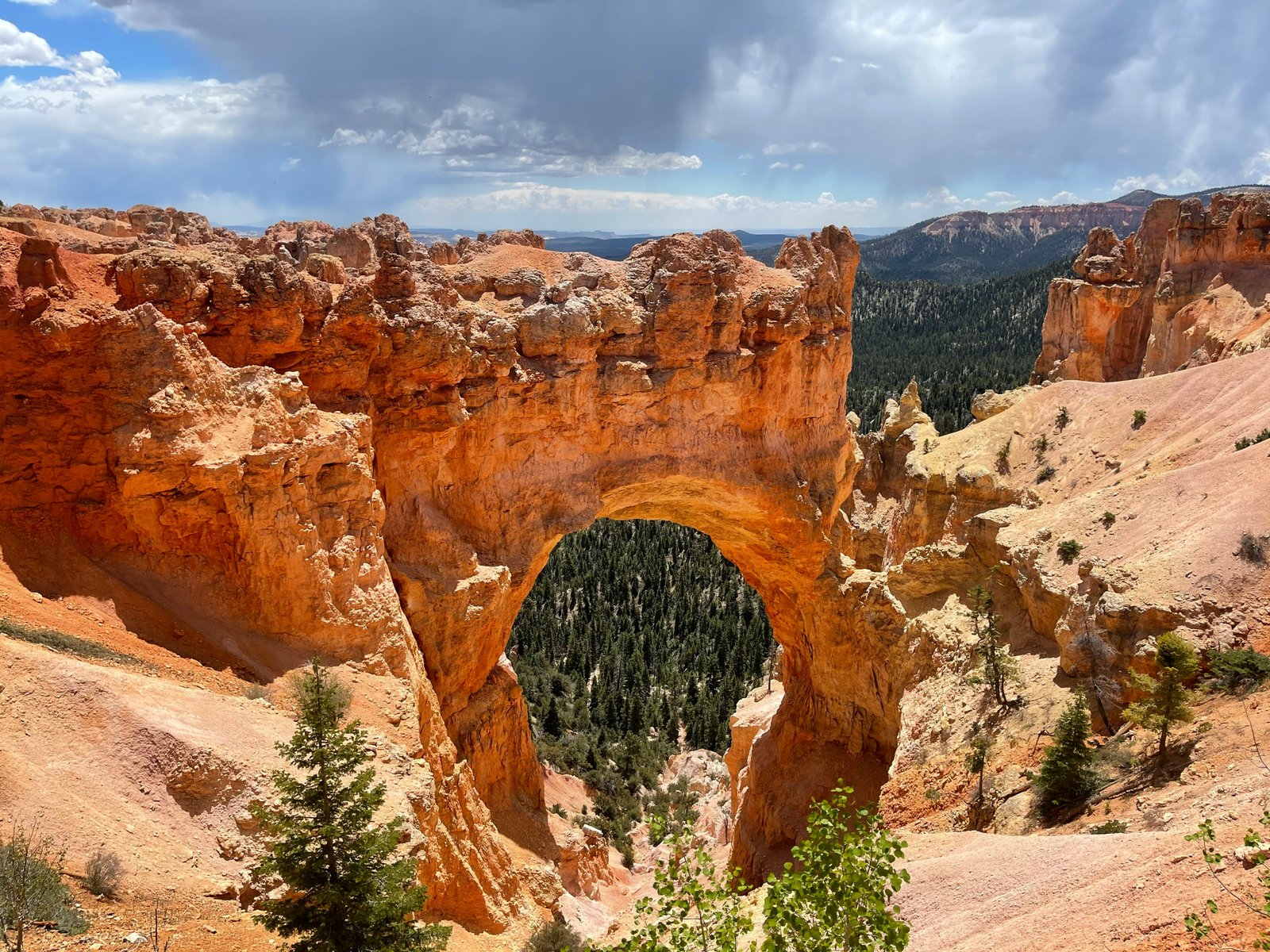 Bryce Canyon hoodoos