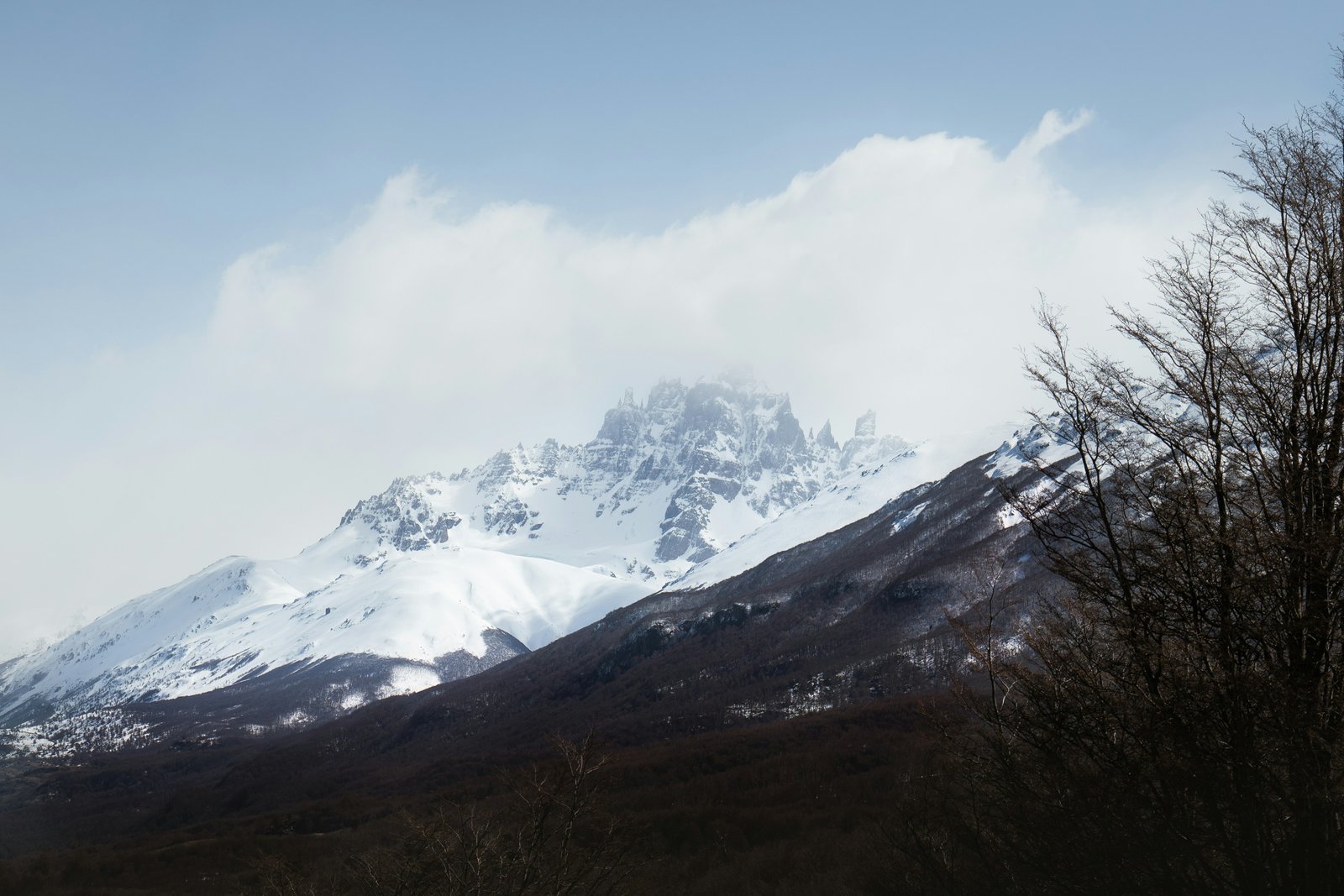 Cerro Castillo massif snow-covered in winter, bare lenga beech in the foreground and clouds wrapping the spires