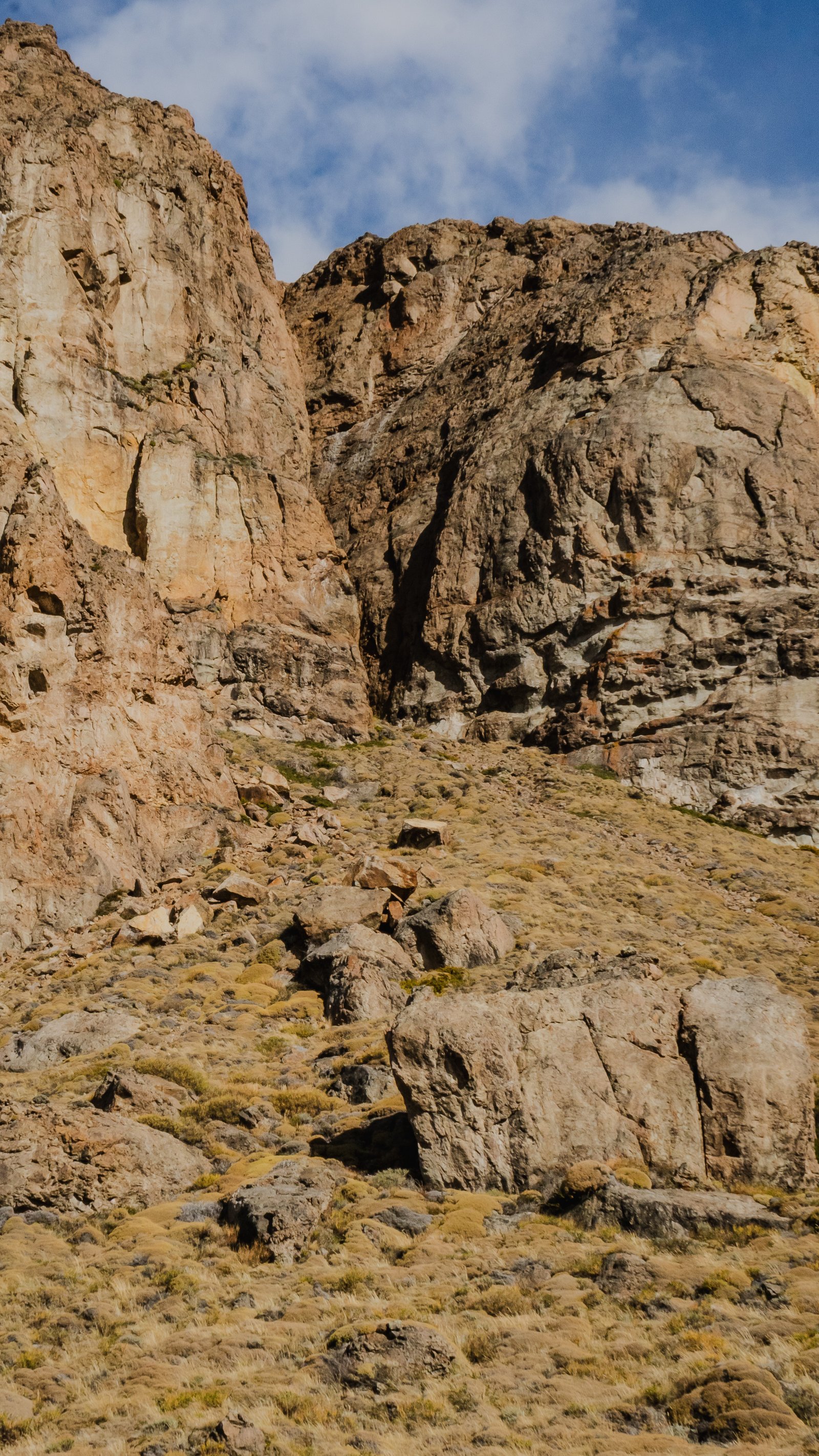 The Valley — El Chaltén