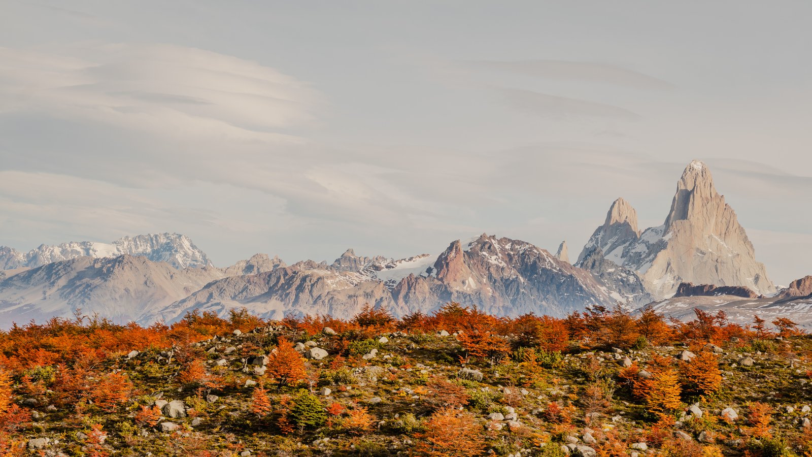 Monte Fitz Roy above the autumn lenga forest