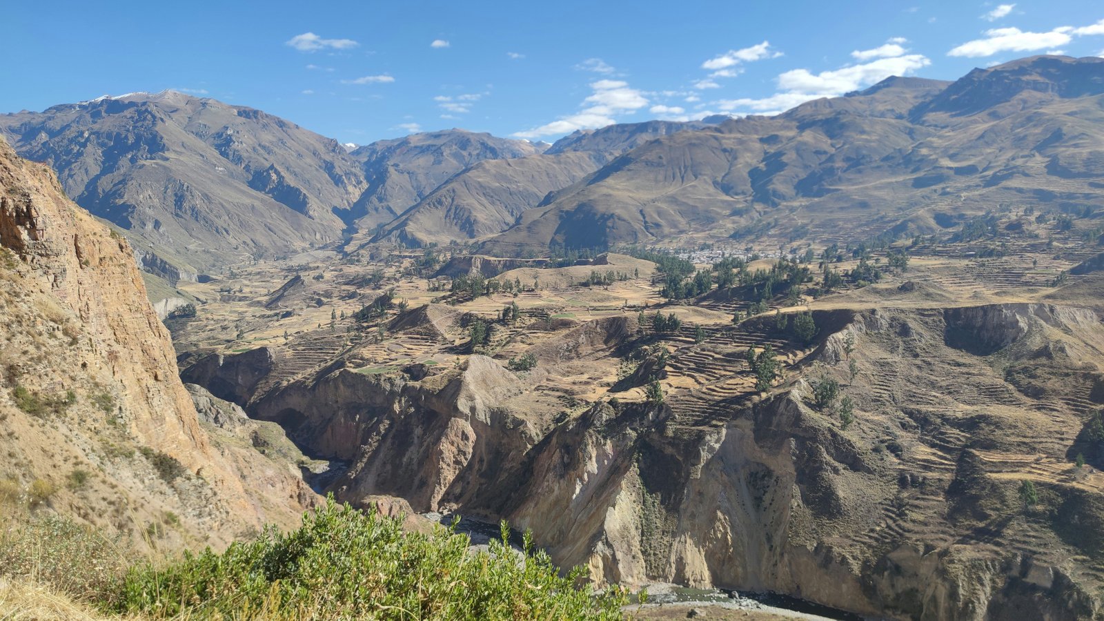 Colca Canyon terraces carved into the canyon walls. Inca agriculture still visible.