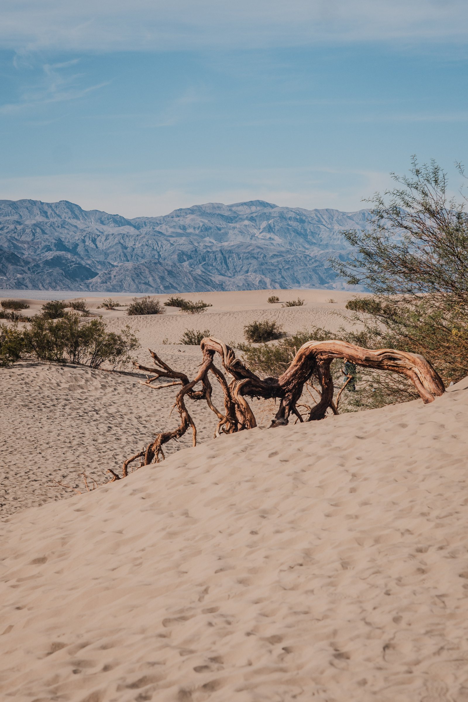 Mesquite Flat Sand Dunes — Death Valley