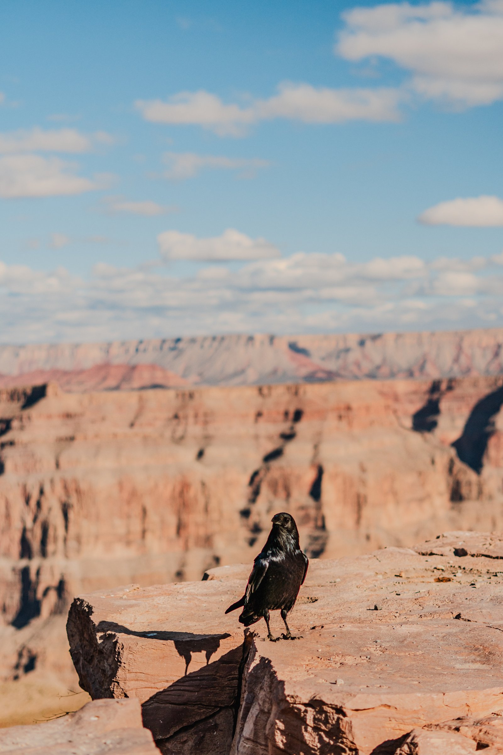 Arrival — Grand Canyon