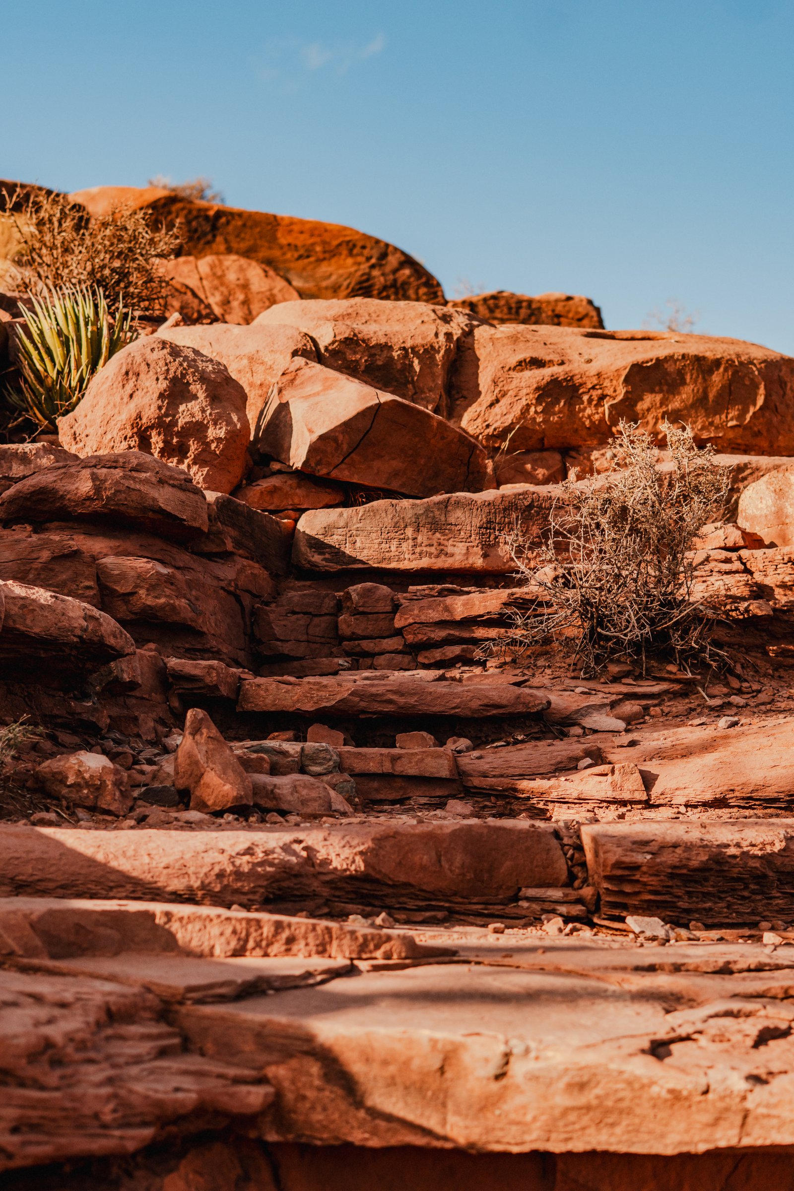 Red sandstone steps on the Rim Trail. Yucca in the foreground.