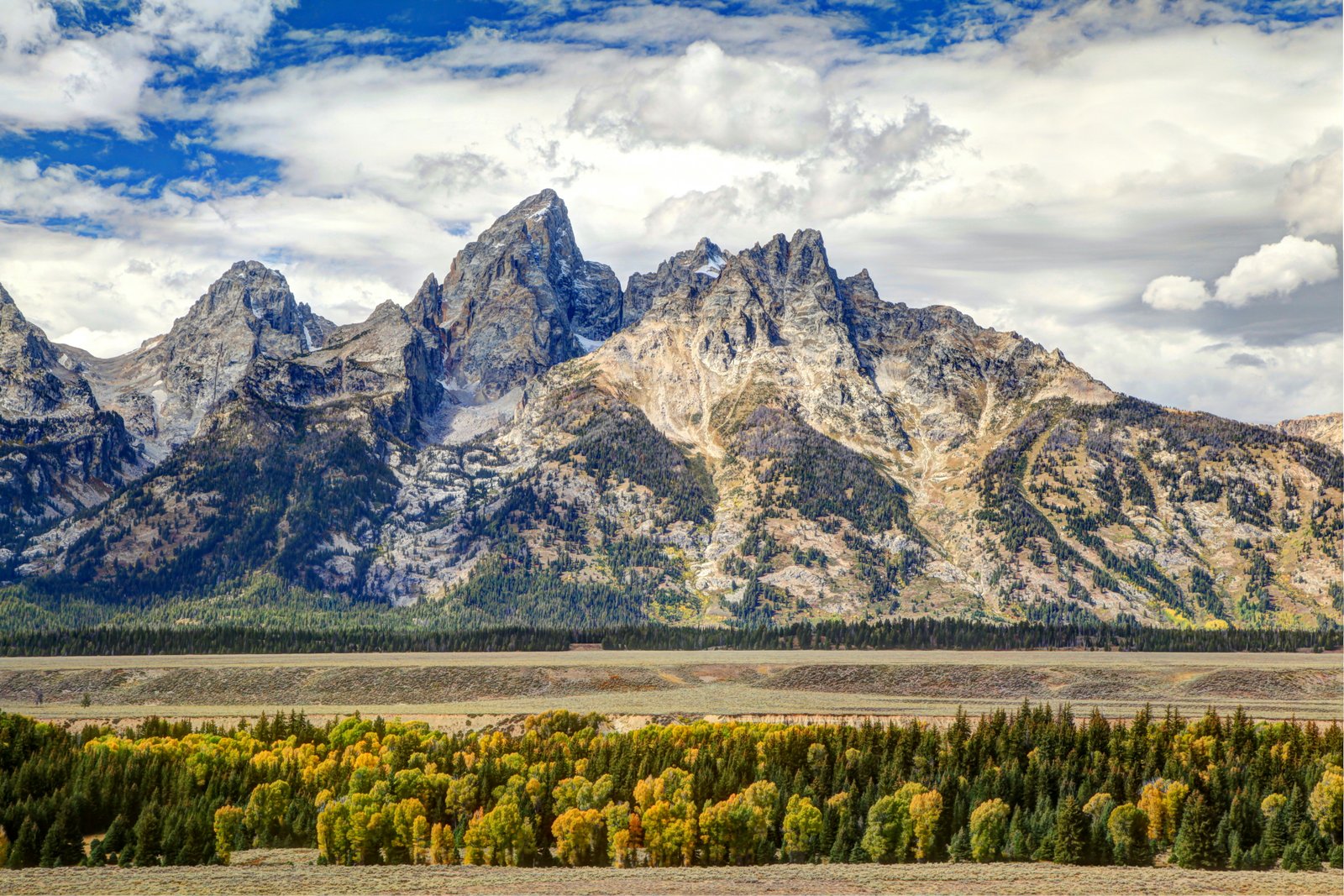 Sweeping meadow with the Teton peaks rising above the treeline