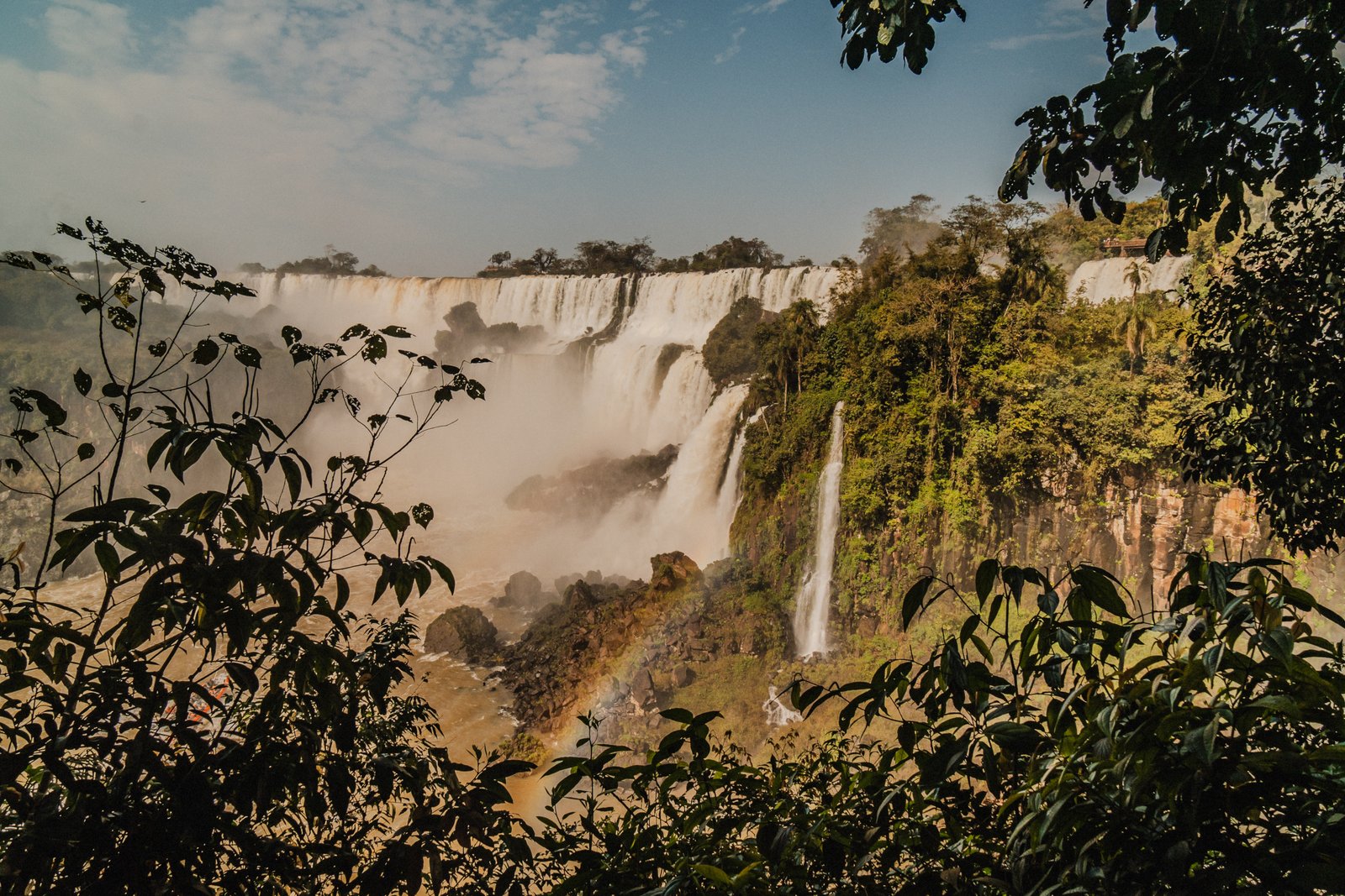 The Jungle — Iguaz&uacute; Falls