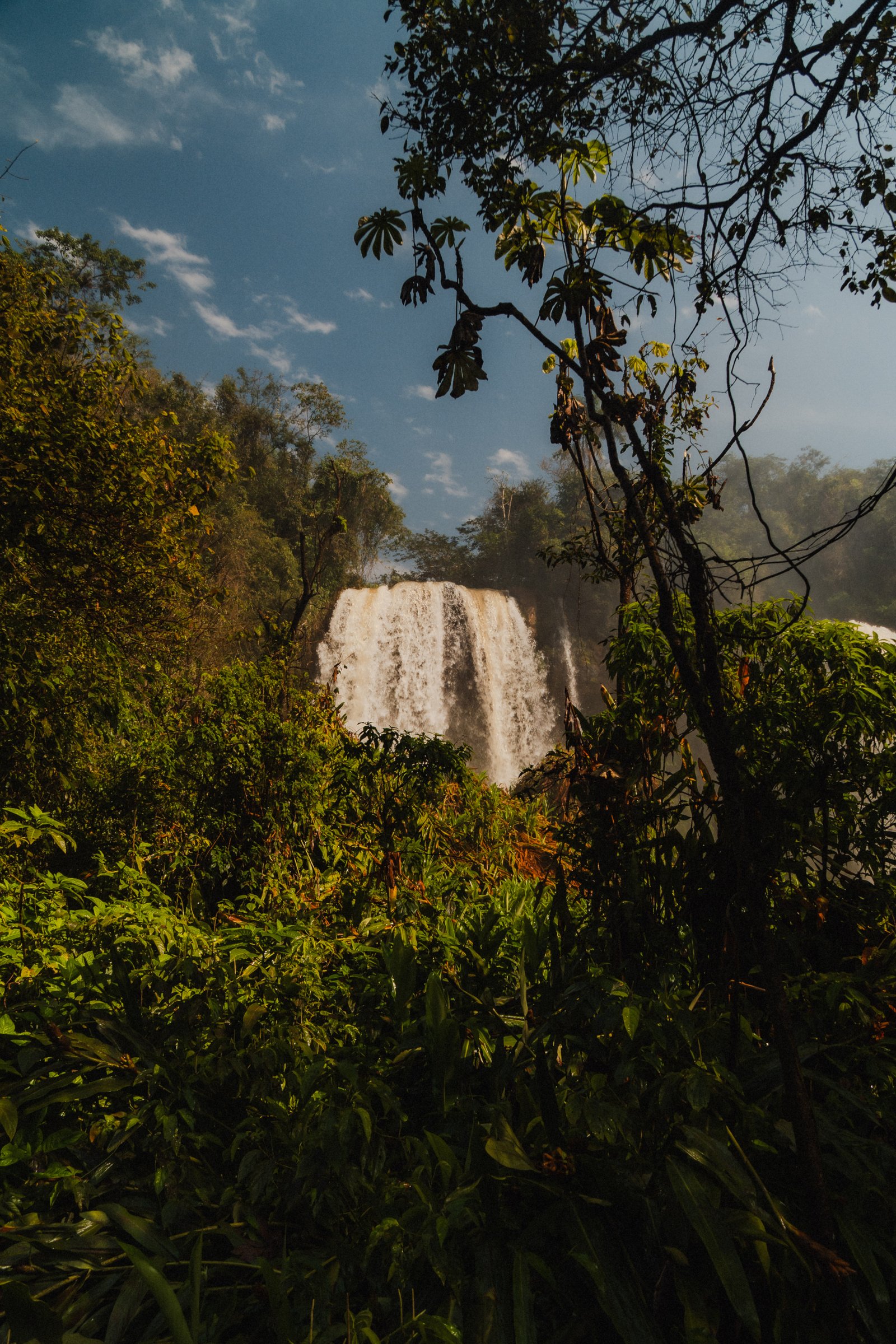 The lower gorge below the falls. The basalt is black, the water white. It moves fast down here.