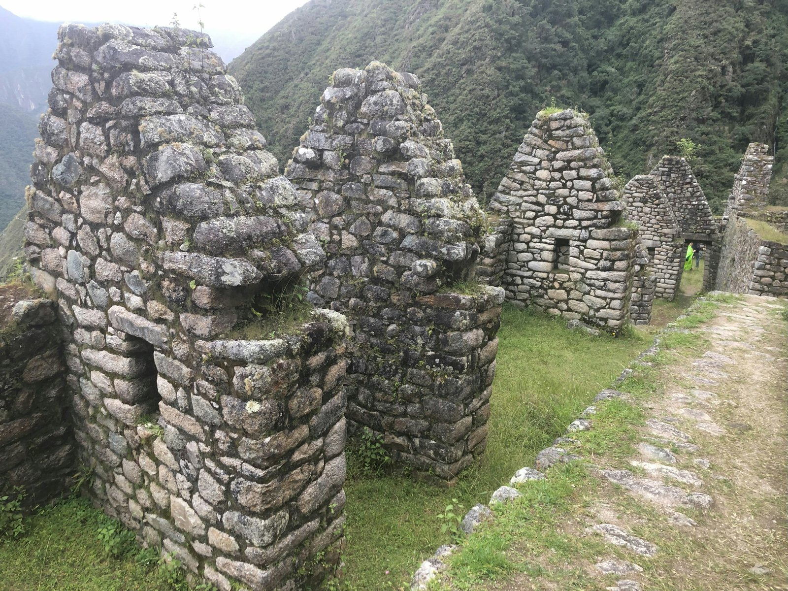 Original Inca stone paving disappearing into cloud forest on Day 3