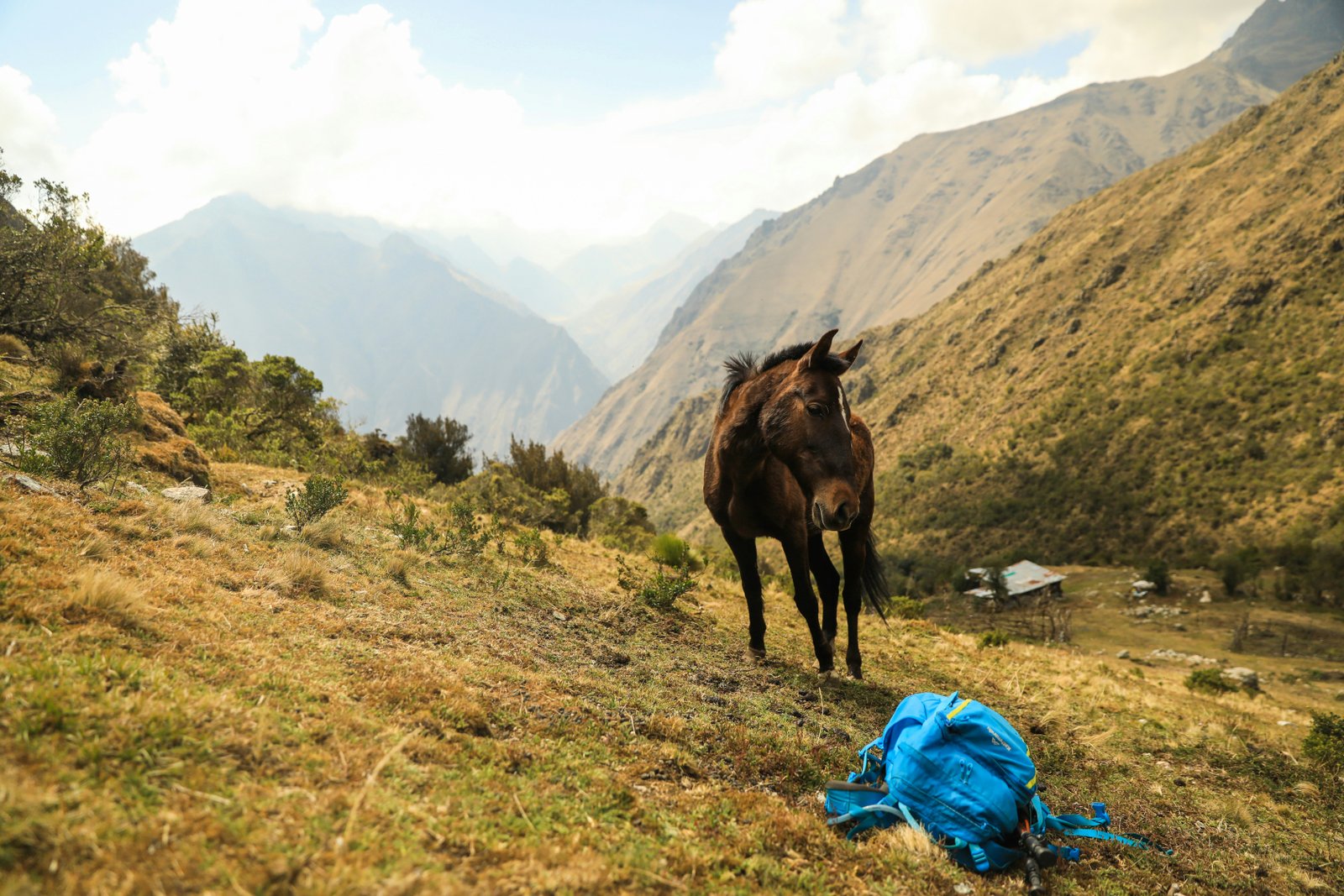 A horse on the Inca Trail with a blue pack on the ground, Andean valley behind
