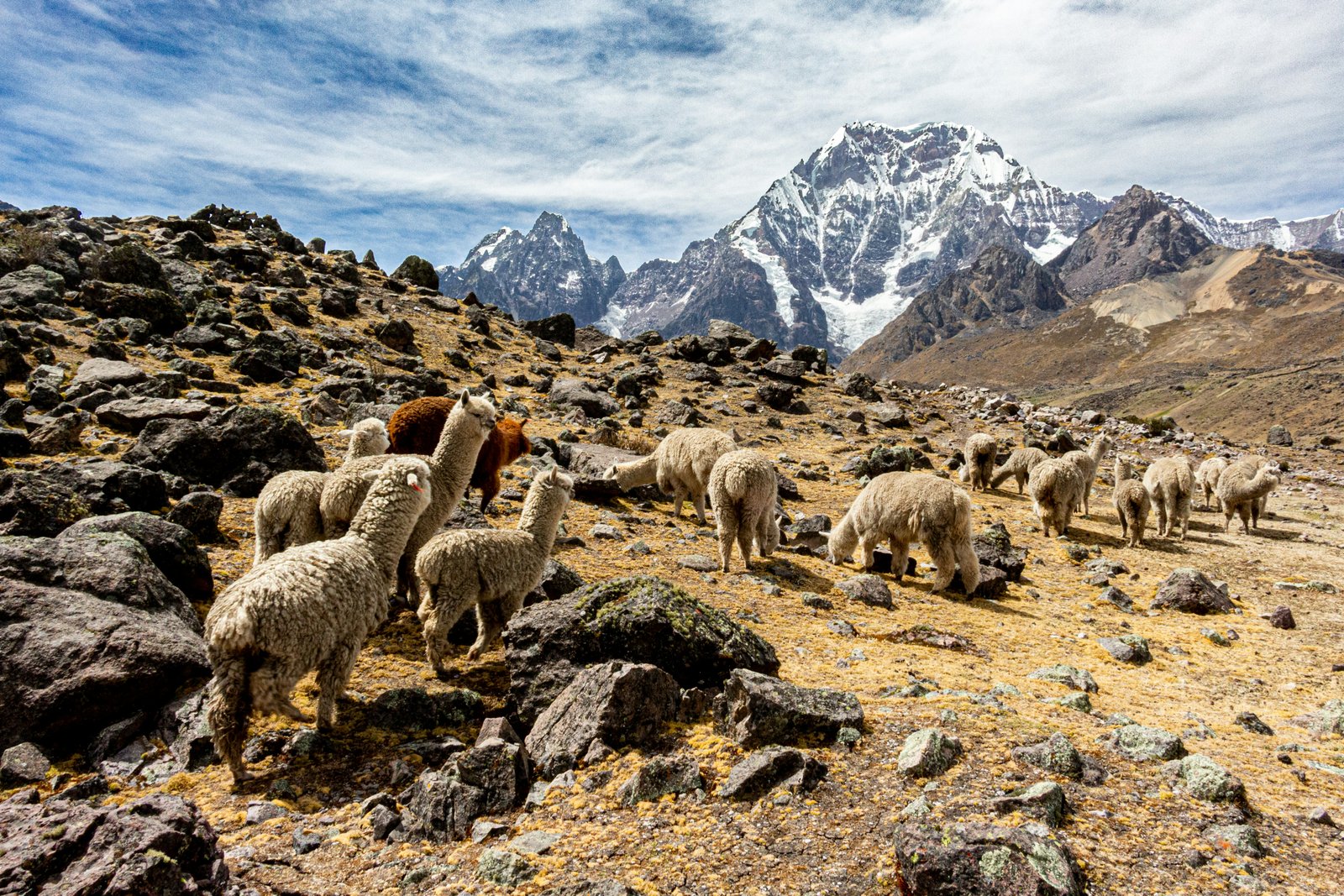 Salineras de Maras salt terraces carved into the hillside above the Sacred Valley