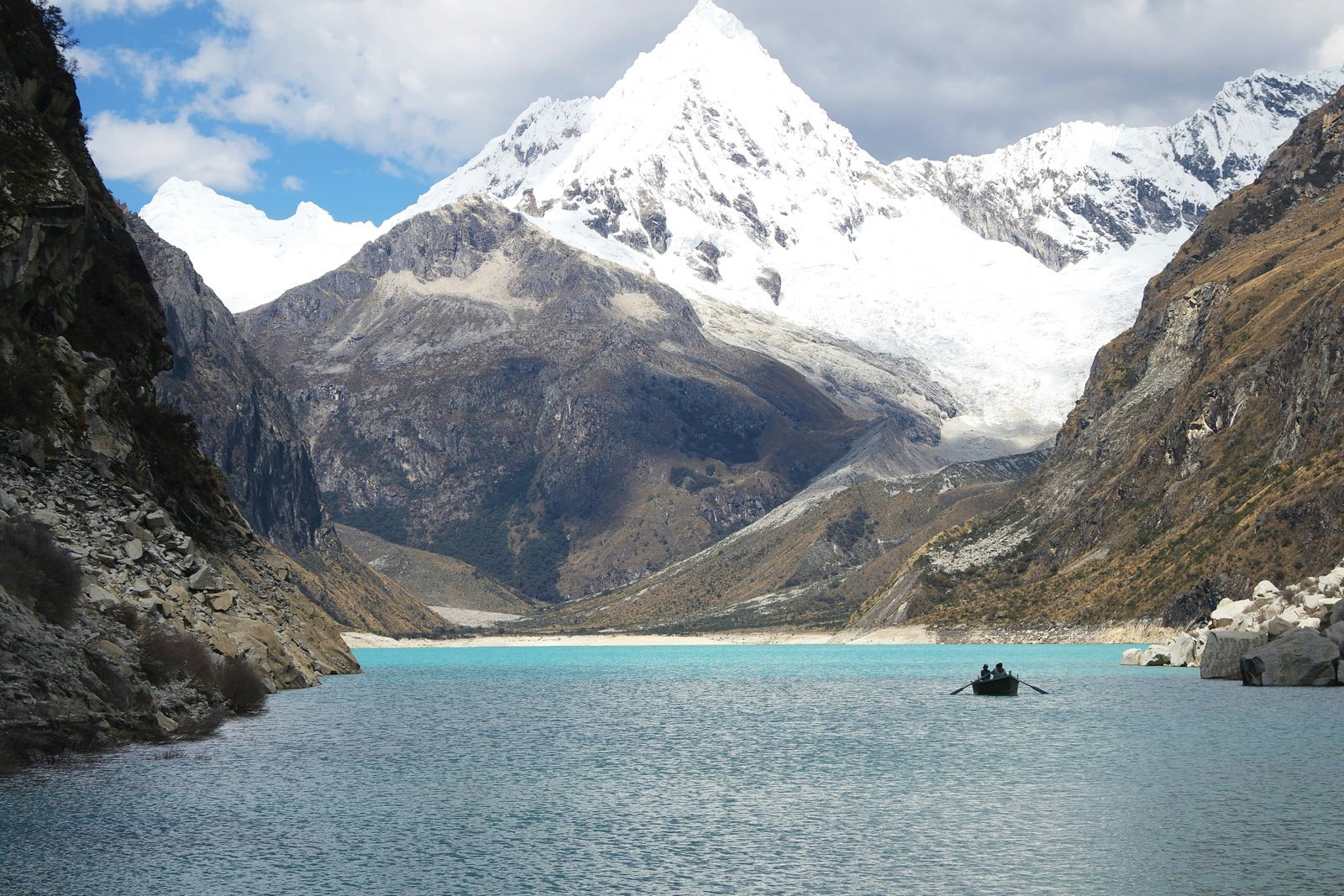 Herd of alpacas grazing on rocky high puna with snow-capped Andean peaks behind