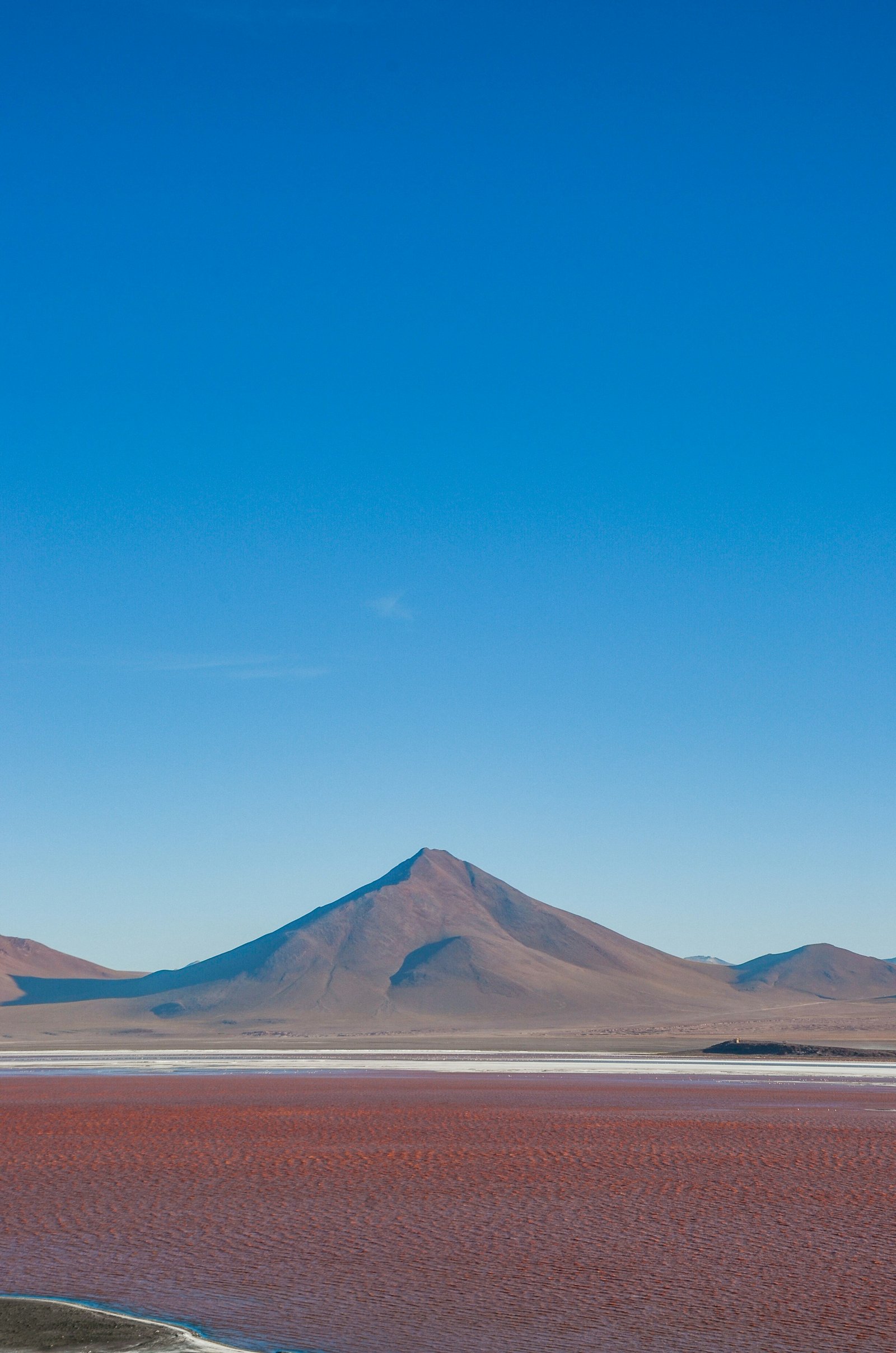 Laguna Colorada red water with white borax islands and flamingos at 4278m