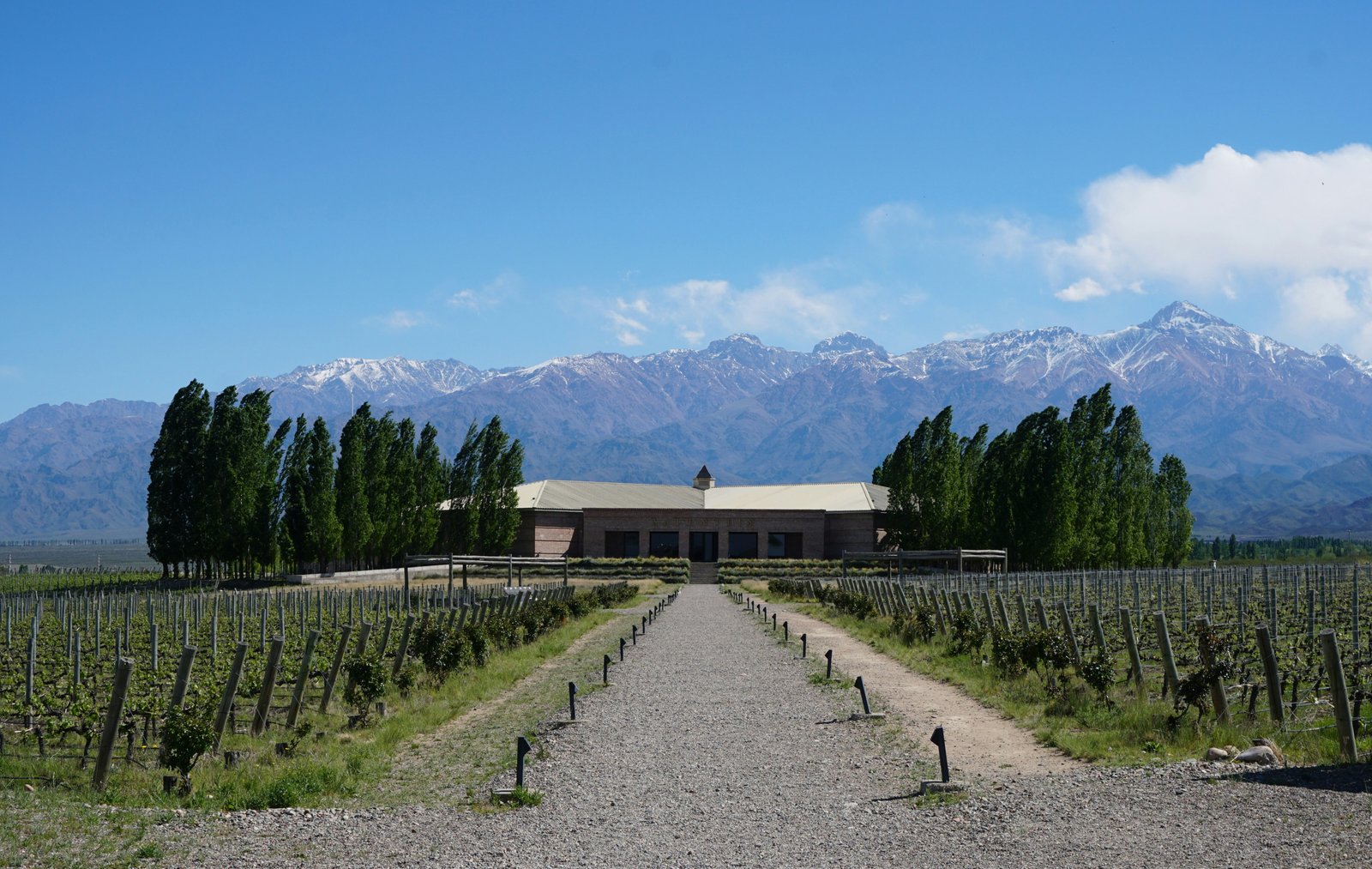 Vineyard and winery building with snow-capped Andes behind, Lujan de Cuyo