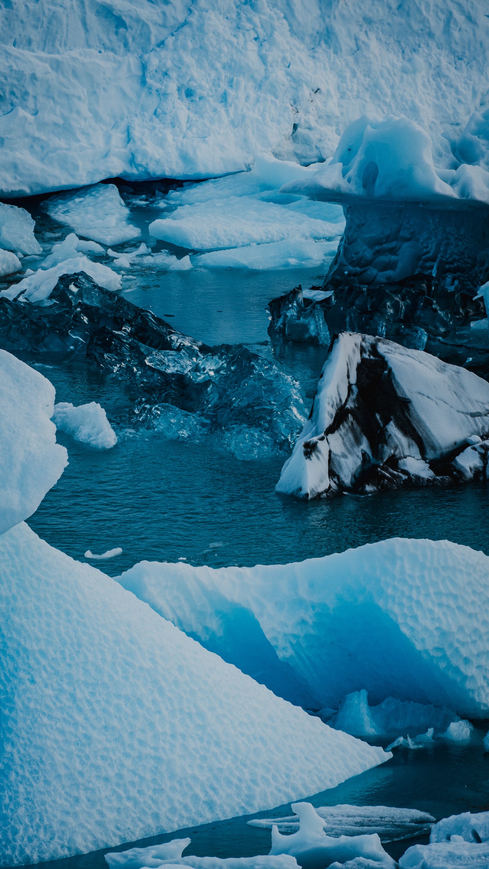 Icebergs clustered at the base of the glacier wall.