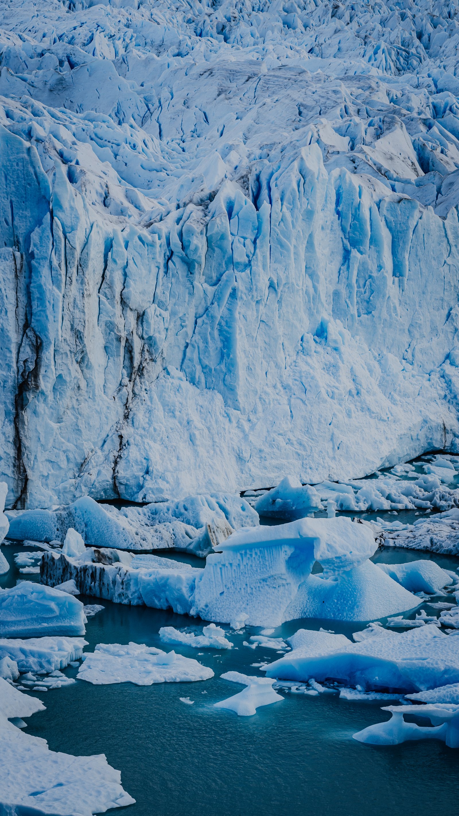 Calving face. Fresh icebergs in turquoise water.