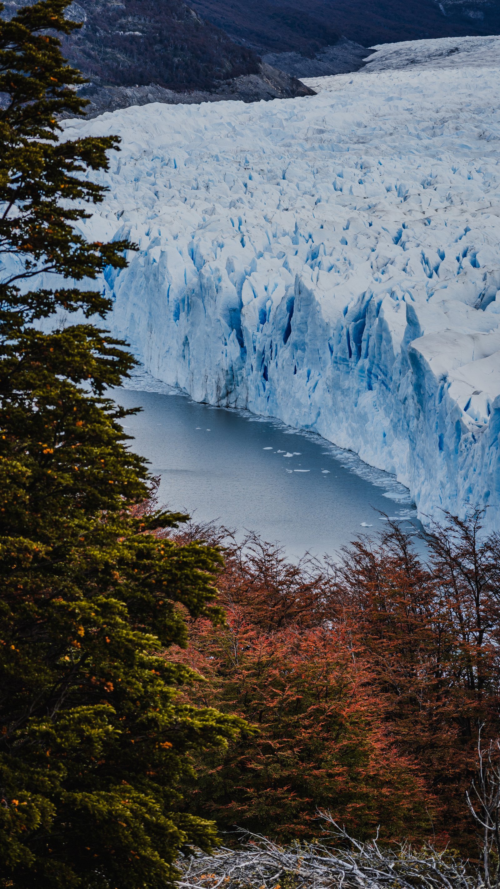 Looking along the glacier's lateral wall through autumn forest.