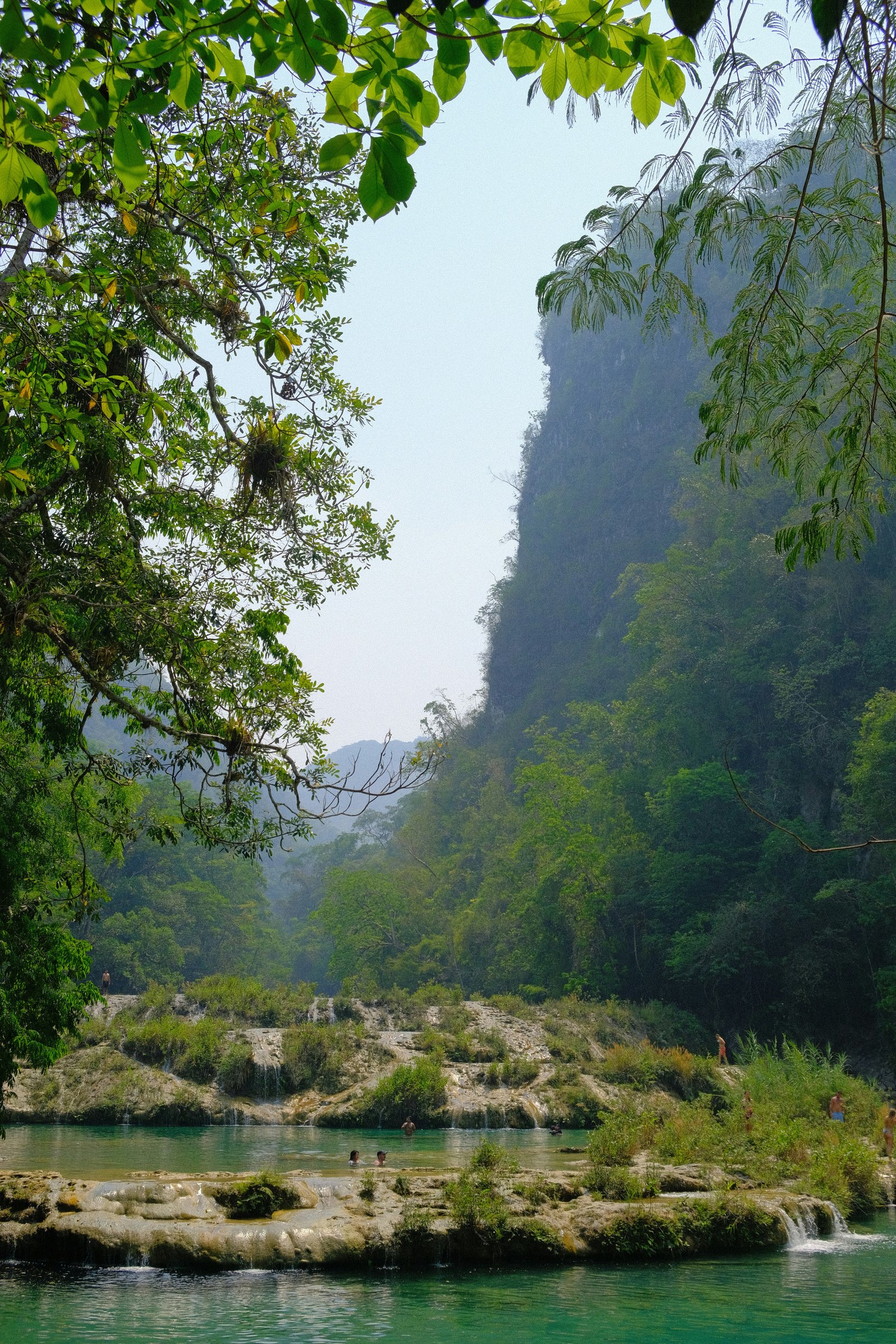 Emerald pools at Semuc Champey with dense canopy above