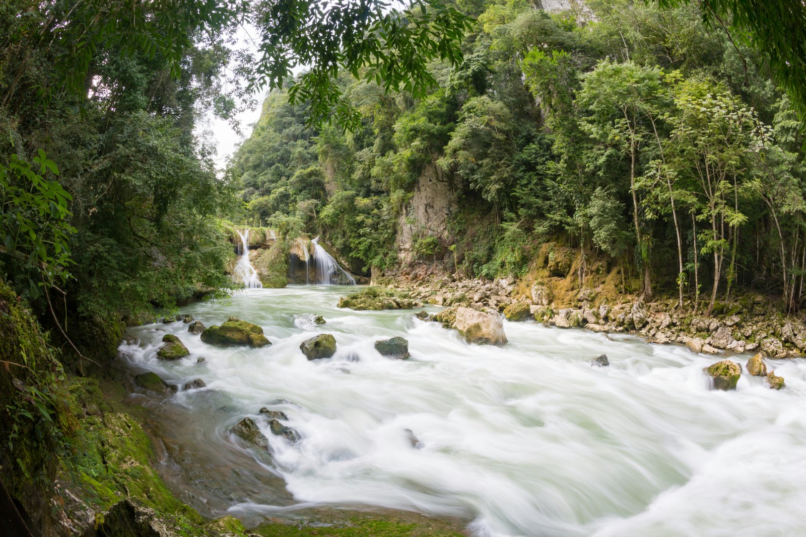 Rio Cahabon rushing through jungle beneath the Semuc Champey pools