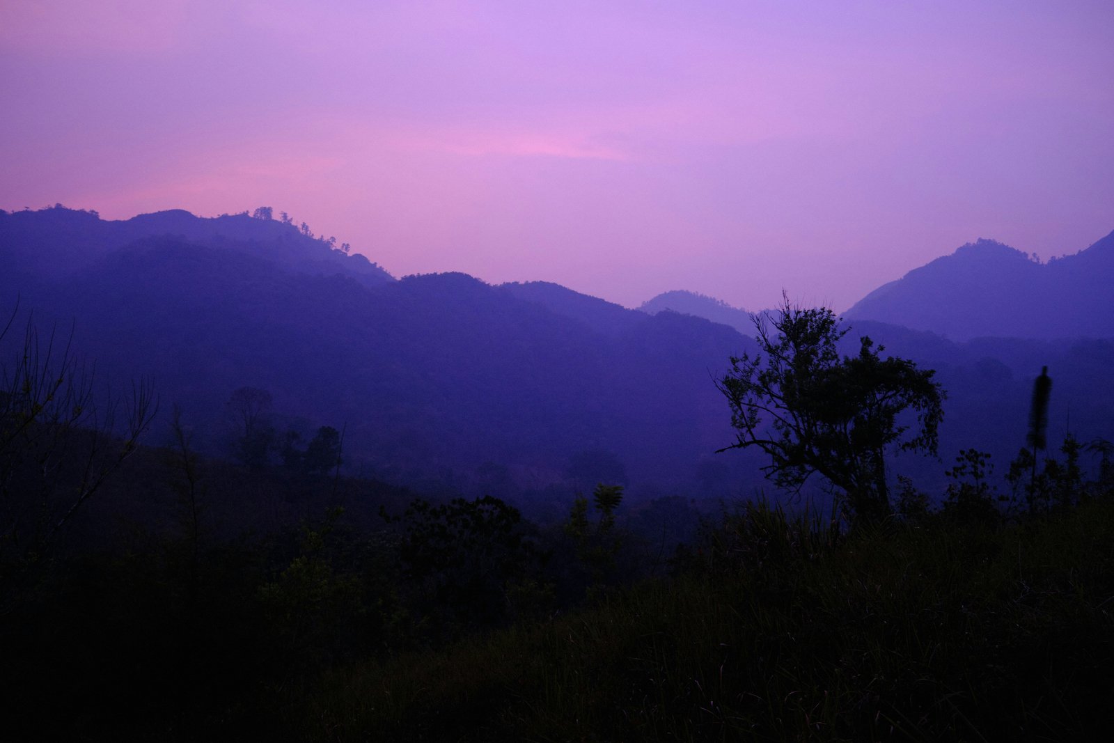 Purple twilight over the jungle mountains of Alta Verapaz