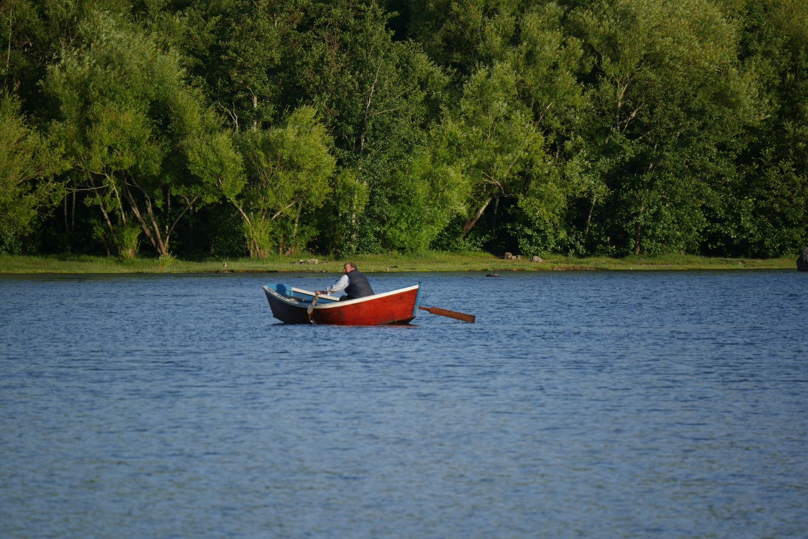 Red rowboat on Lago Villarrica with native forest on the shore
