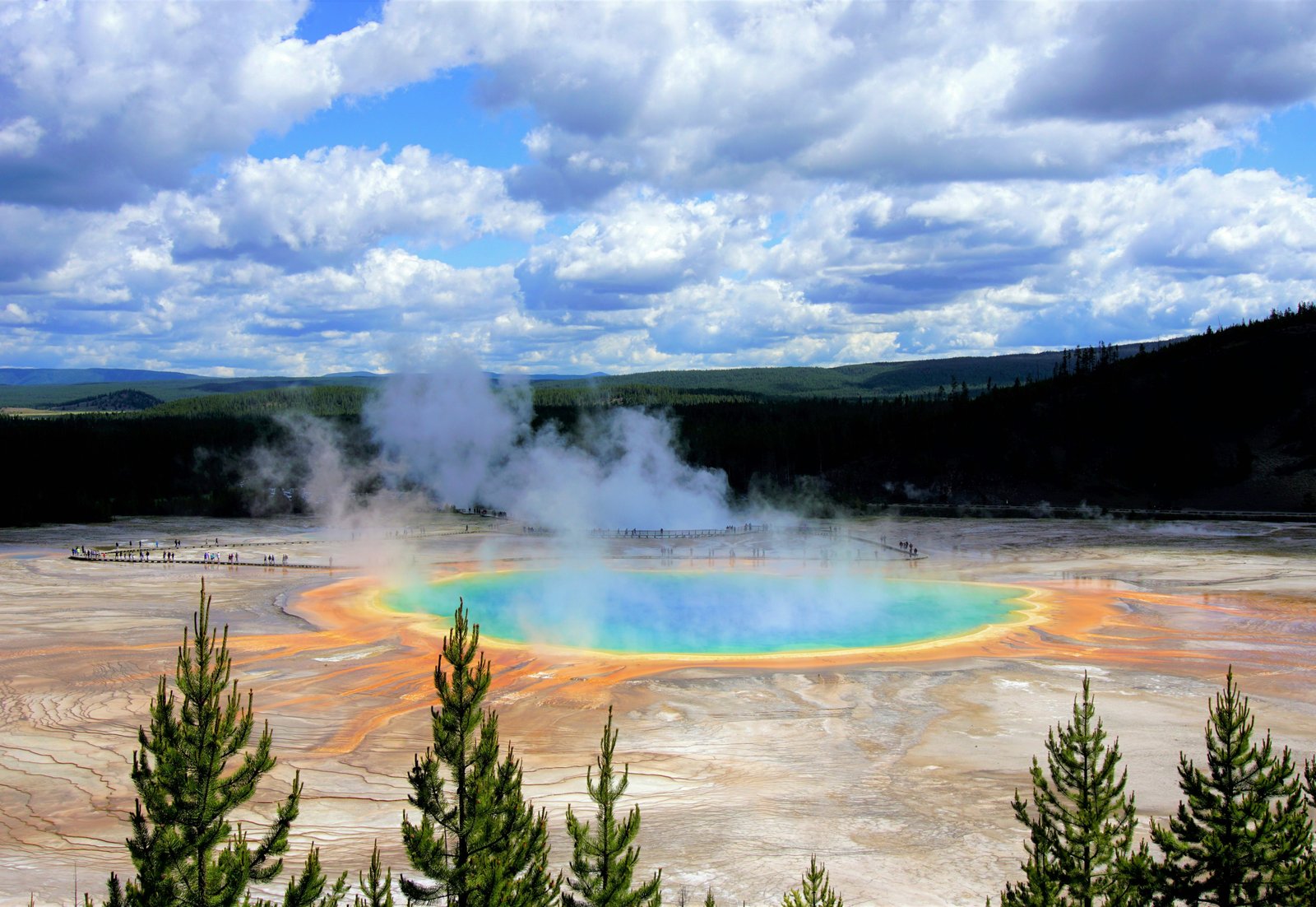 Yellowstone landscape