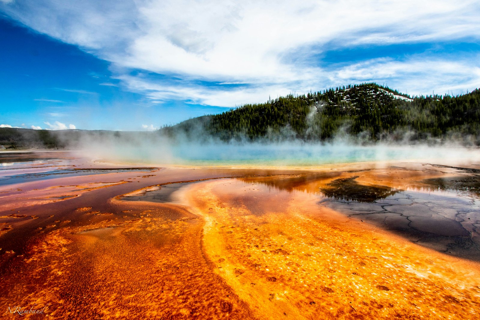 Yellowstone landscape