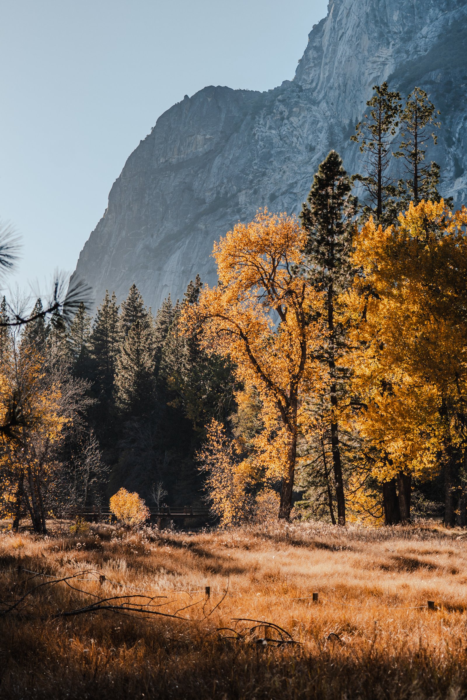 A smaller fall in a granite gorge. Lit pines at the base, dark walls surrounding.