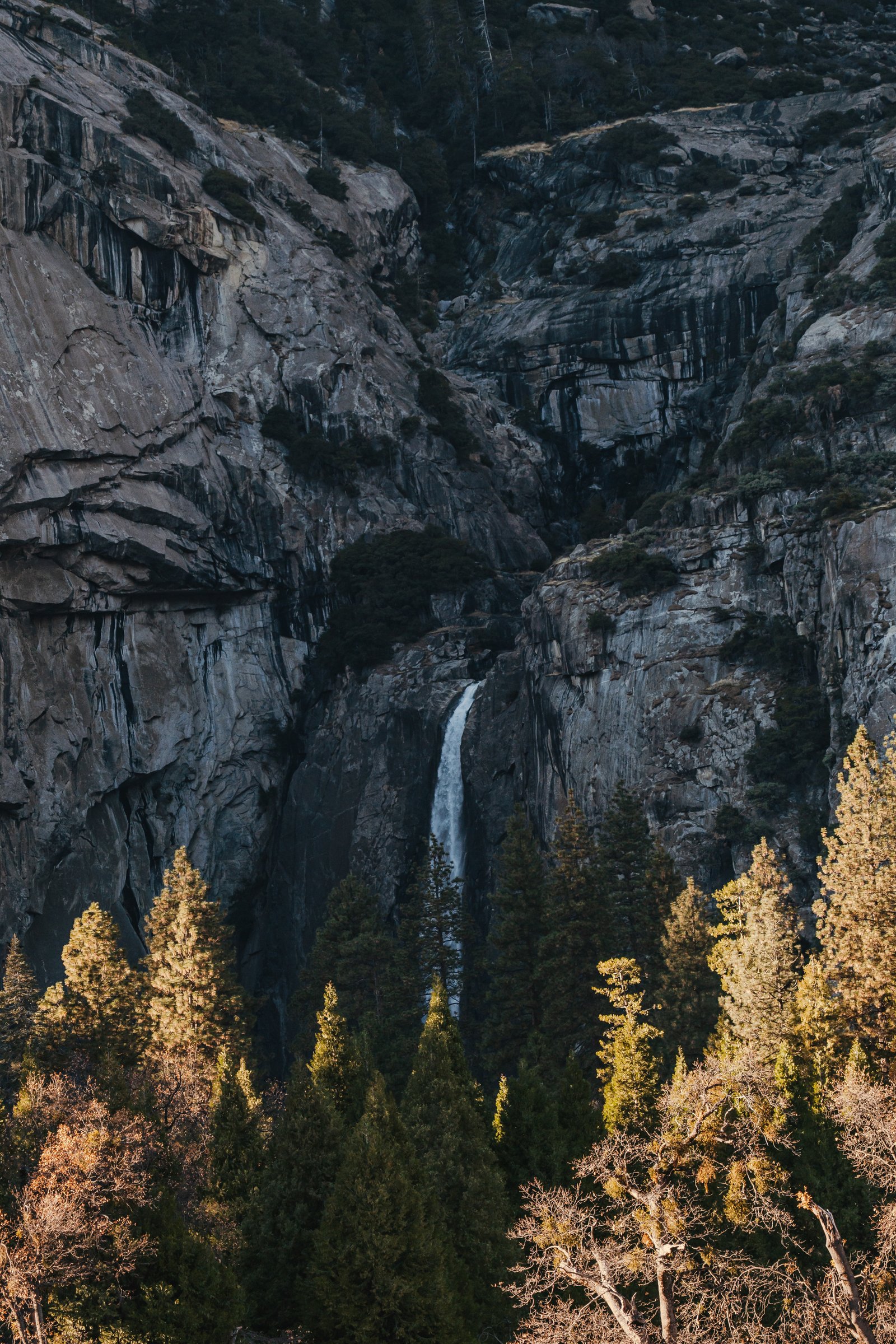 Granite canyon walls in deep blue shadow. The valley narrows toward the high country.